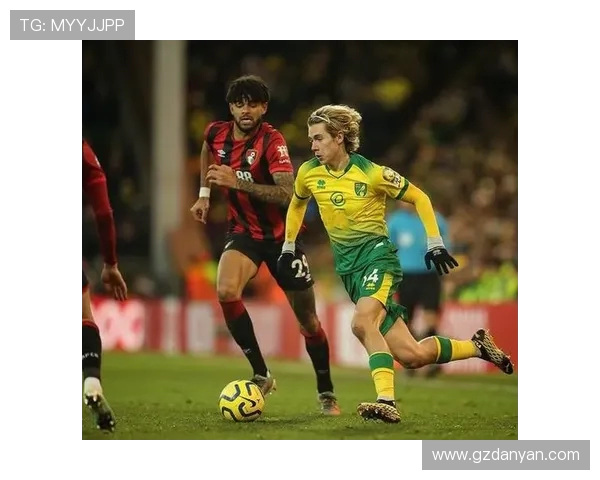 英超新秀大胆启用球队介绍