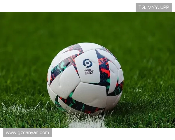 法甲球队2024-2025赛季赛季总结及未来发展建议报告