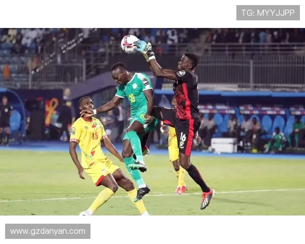 基于埃及世界杯历史数据的战绩演变与未来展望分析深度研究与趋势解读